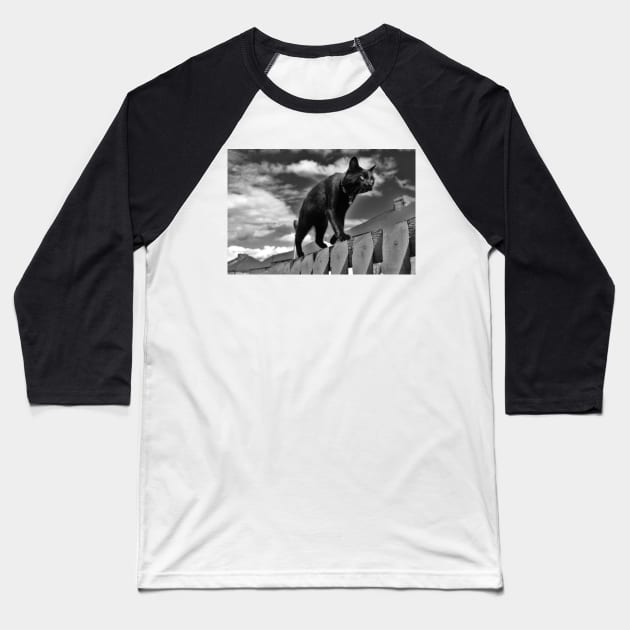 Cat on a Mission Baseball T-Shirt by Ladymoose